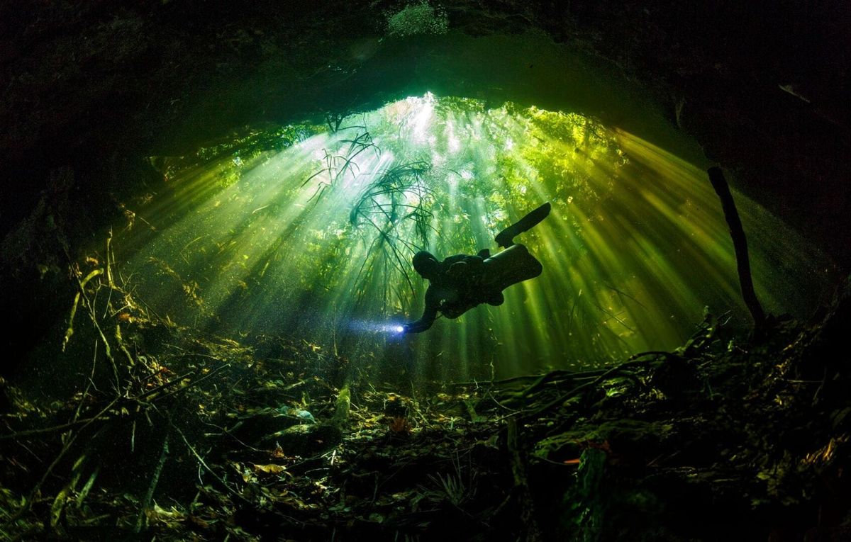 Cenote diving in Tulum uncovers a vast world beneath the jungle floor