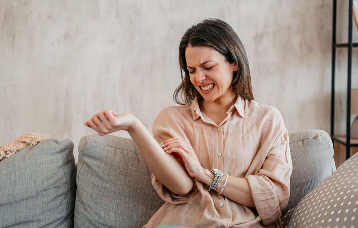 Mosquitoes surge in Tulum amid rainy season conditions Mosquitoes surge in Tulum amid rainy season conditions