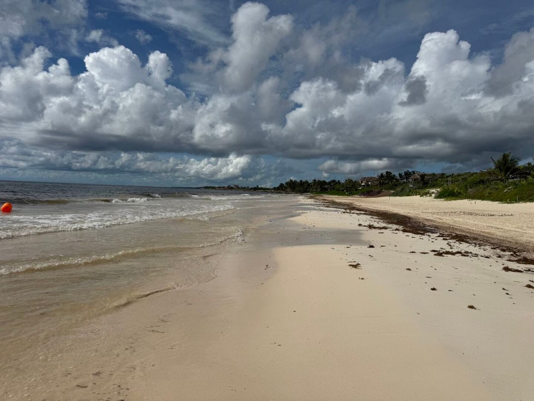 Tulum hoteliers back free public access but warn of infrastructure burdens