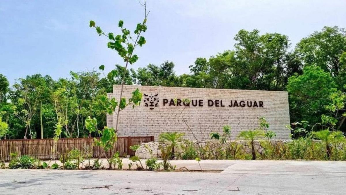 How Parque Jaguar turned from eco-hope to institutional shame How Parque Jaguar turned from eco-hope to institutional shame