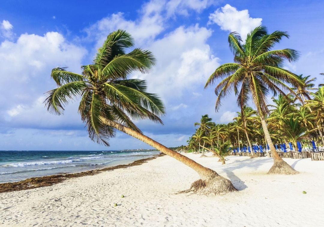 SEMARNAT denies environmental approval for Paraíso hotel in Tulum