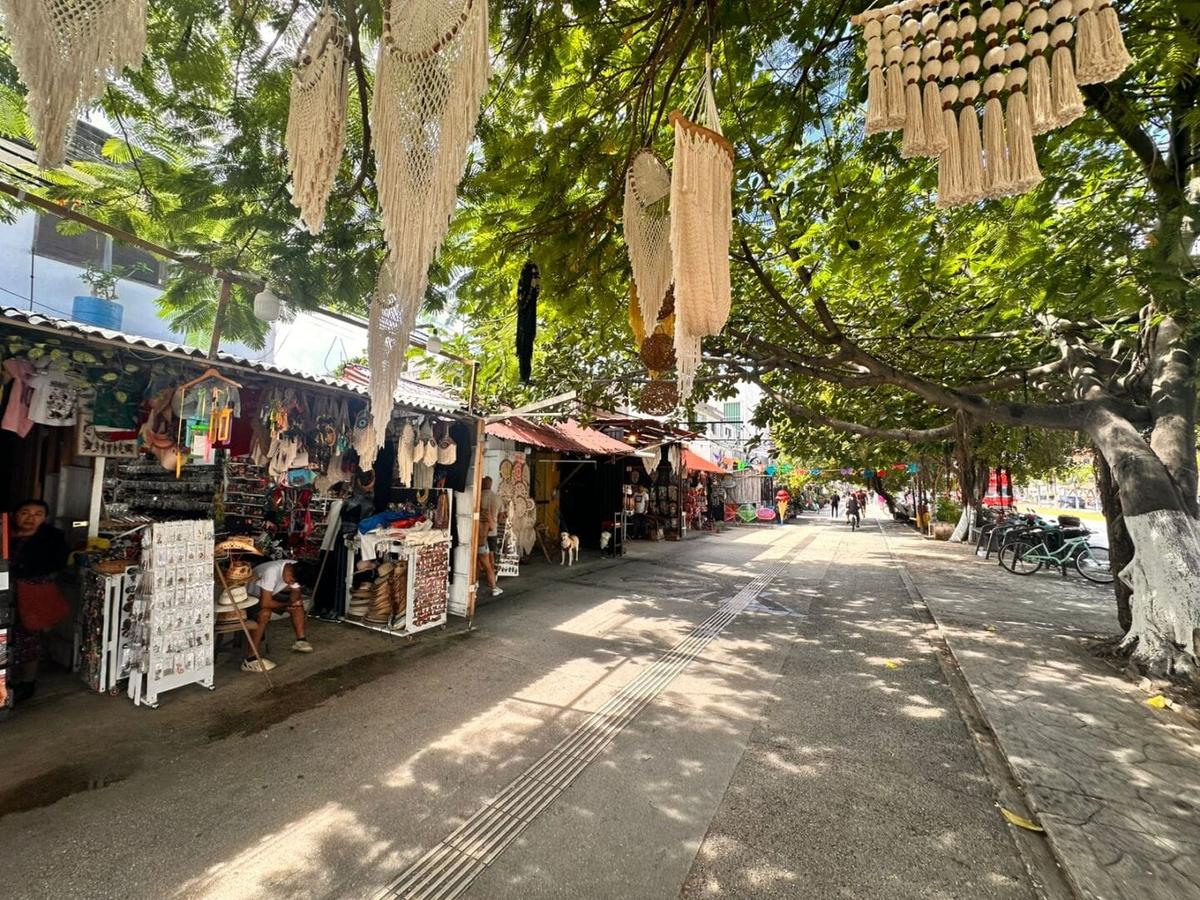The invisible hurricane behind Tulum’s decline The invisible hurricane behind Tulum’s decline