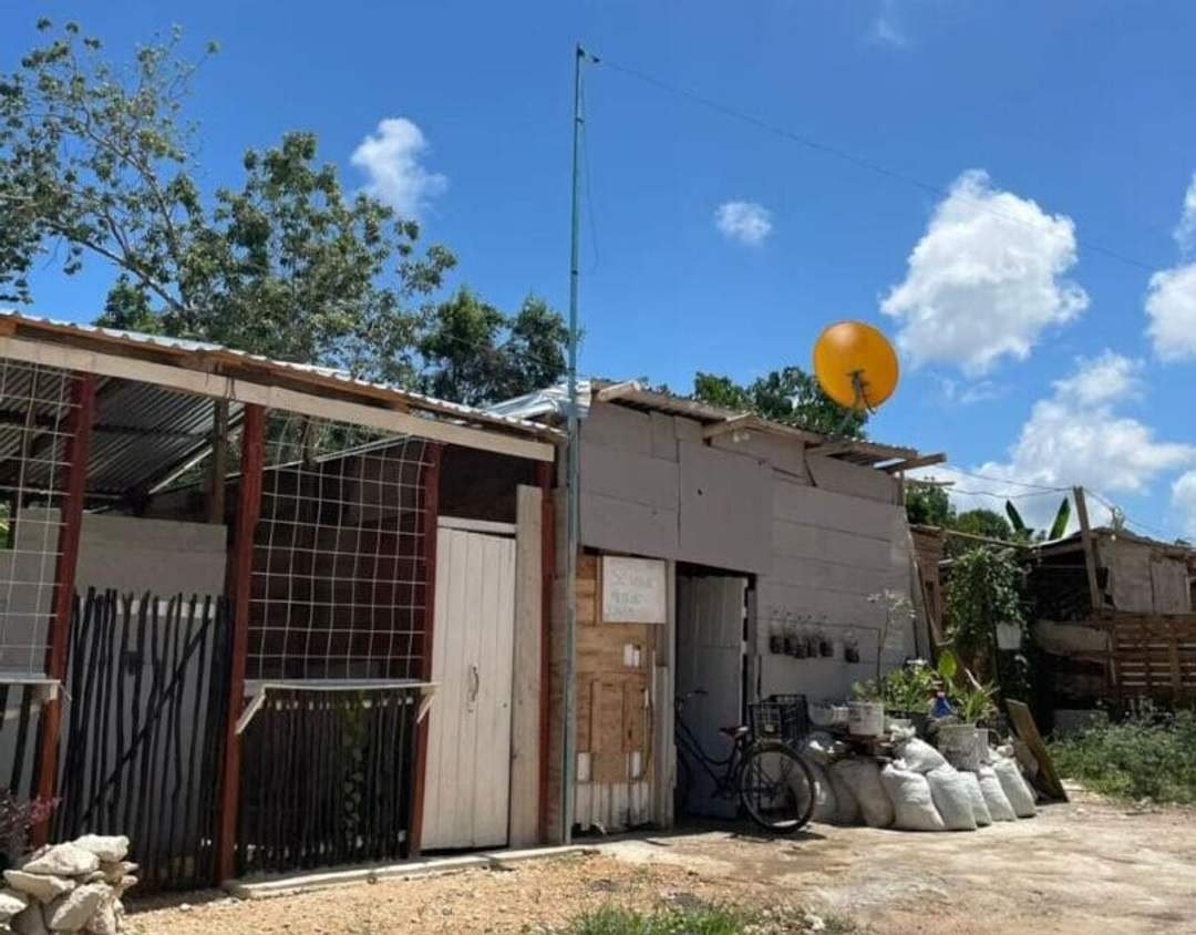 Illegal land invasions expose weak urban control in Tulum