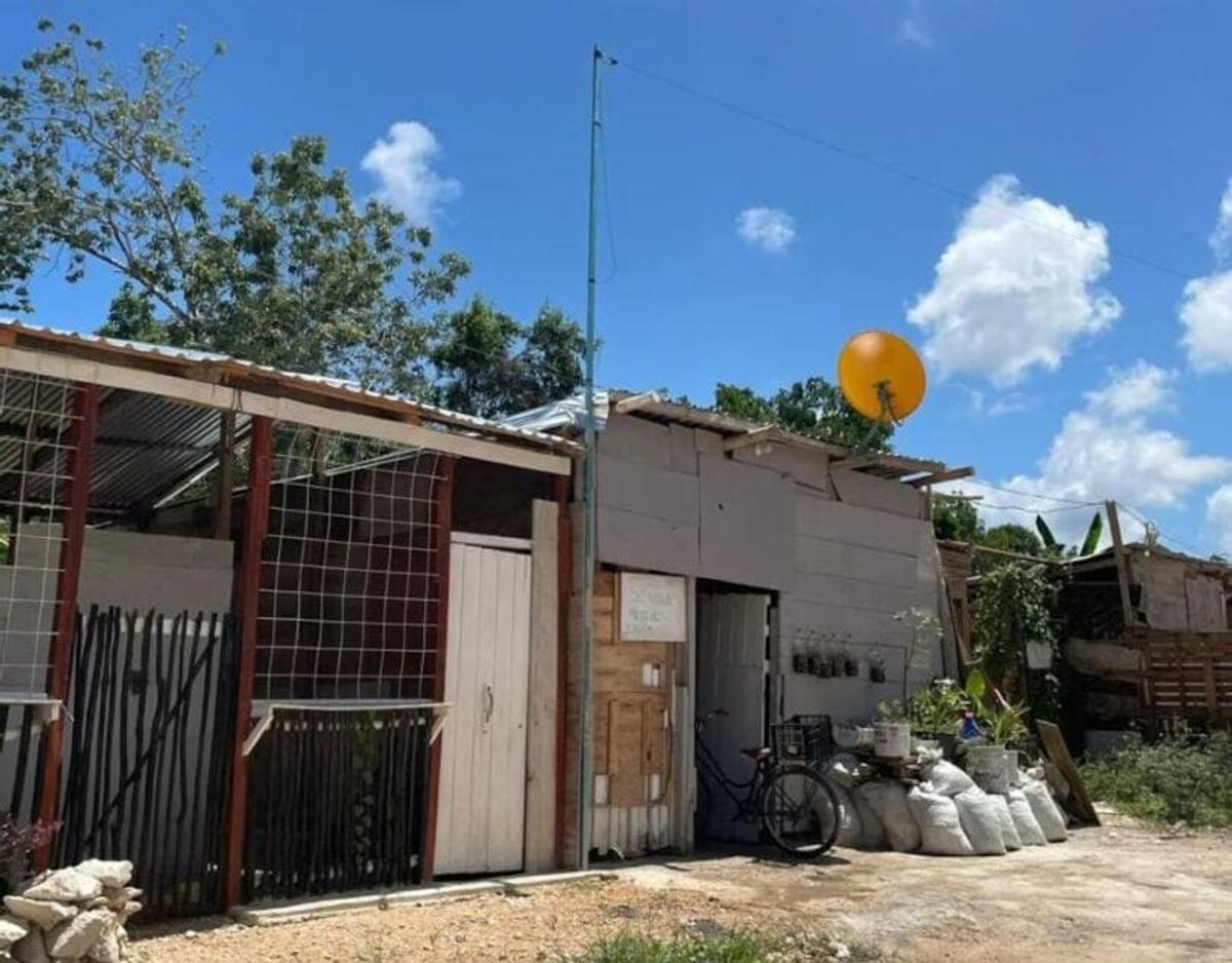Illegal land invasions expose weak urban control in Tulum Illegal land invasions expose weak urban control in Tulum