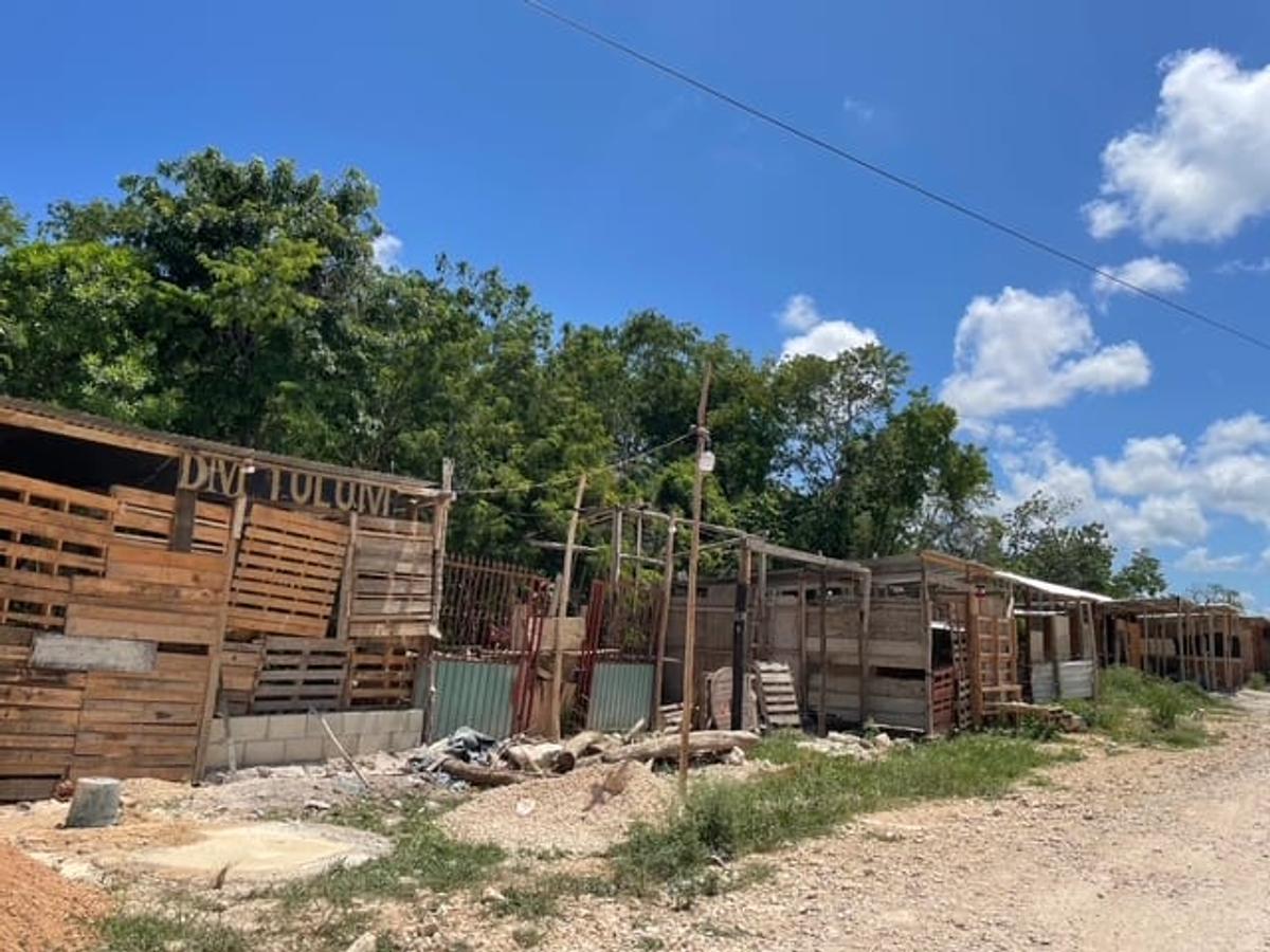 Illegal occupation in Tulum sparks outrage over government inaction Illegal occupation in Tulum sparks outrage over government inaction