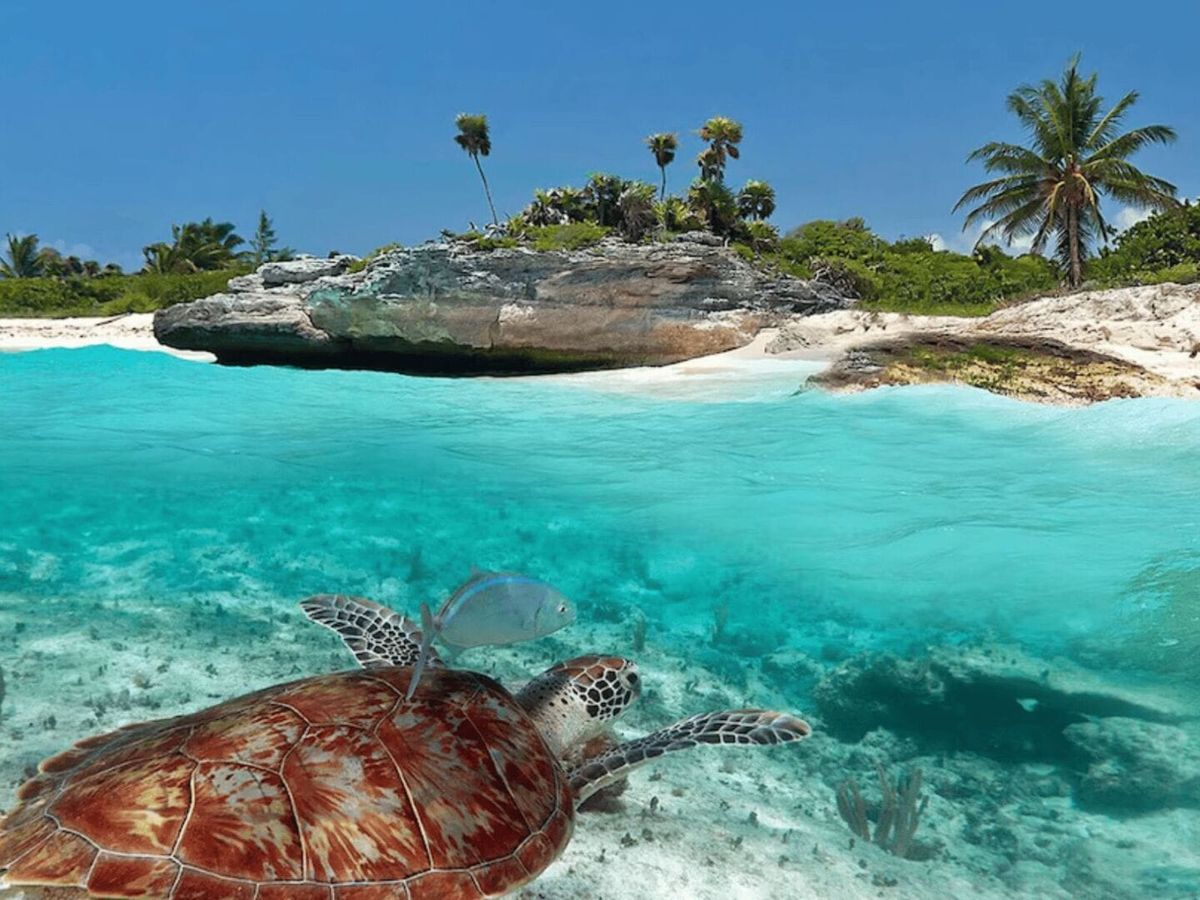 Quiet turtle sanctuary at Xcacel Beach contrasts with booming Tulum