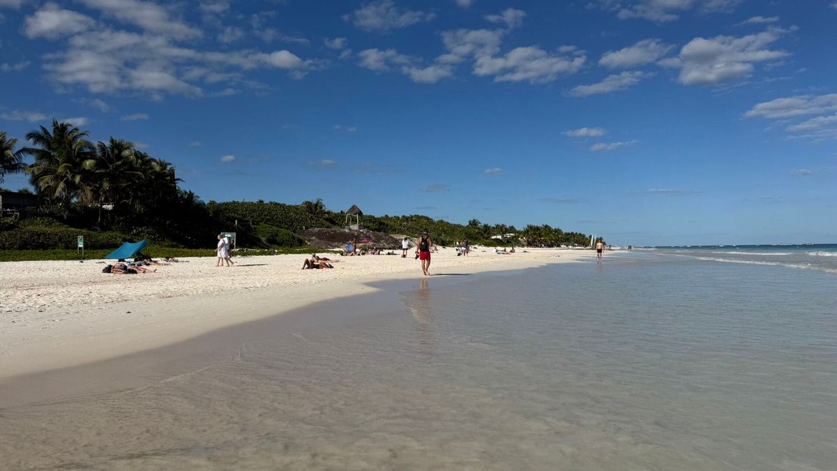 Hotels call for sanitation trust to fund sargassum control in Tulum