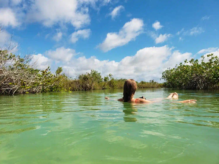Why Tulum Is Still the Ultimate Summer Destination Even During Sargassum Season - Photo 4 Why Tulum Is Still the Ultimate Summer Destination Even During Sargassum Season - Photo 4