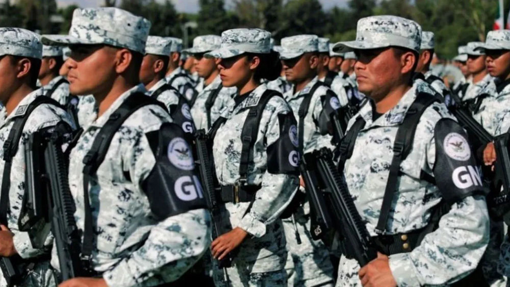 Tulum declares war on crime as drug seizures hit historic high - Photo 1