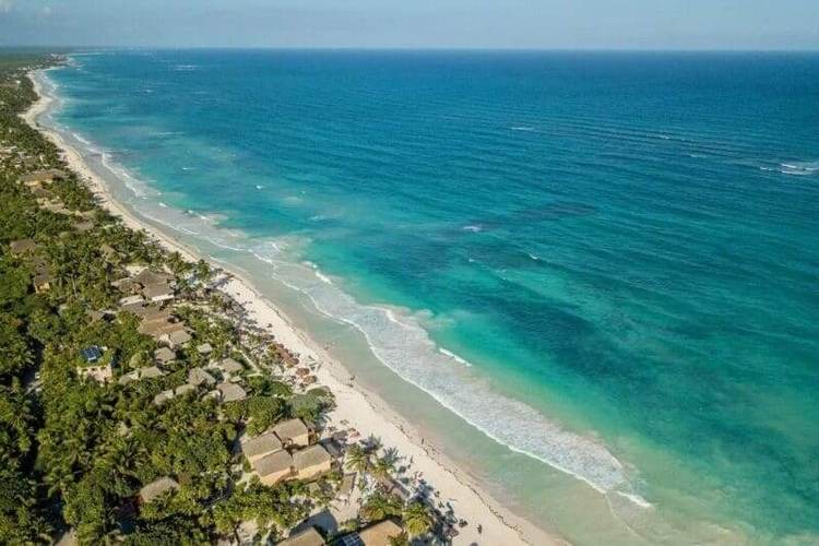 New access law might force changes at Tulum’s controversial Parque del Jaguar - Photo 2 New access law might force changes at Tulum’s controversial Parque del Jaguar - Photo 2