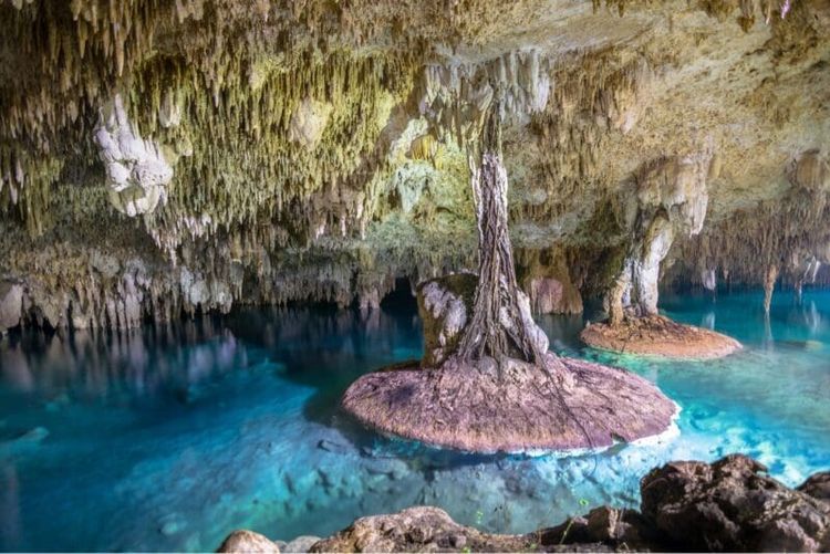 Top cenotes in Tulum you must visit: a complete list and visitor’s guide - Photo 6 Top cenotes in Tulum you must visit: a complete list and visitor’s guide - Photo 6