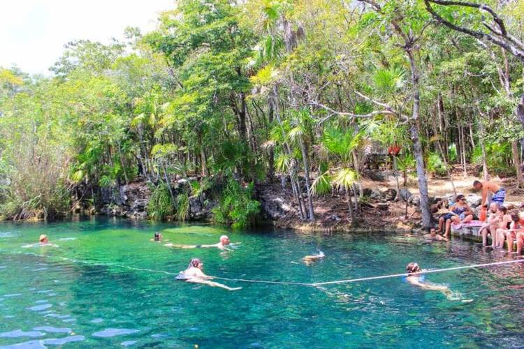 10 Best Tulum Cenotes for Swimming [2025 Map & Prices] - Photo 10