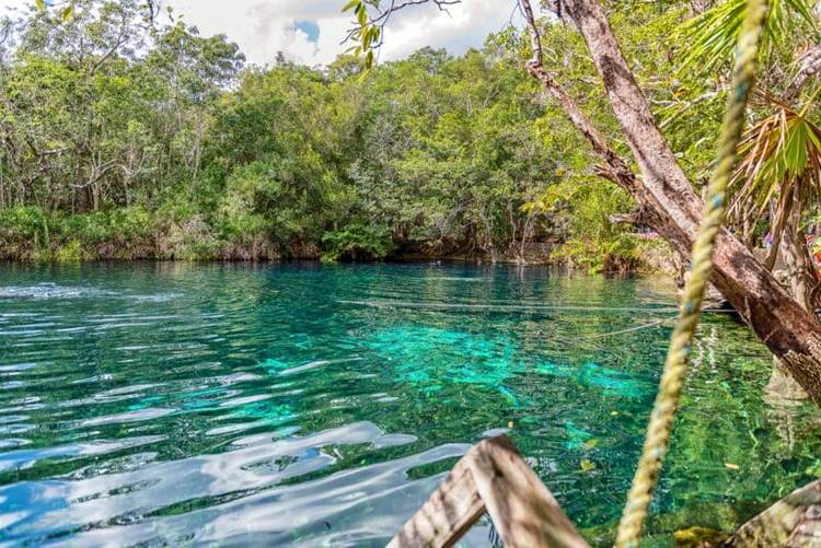 10 Best Tulum Cenotes for Swimming [2025 Map & Prices] - Photo 4