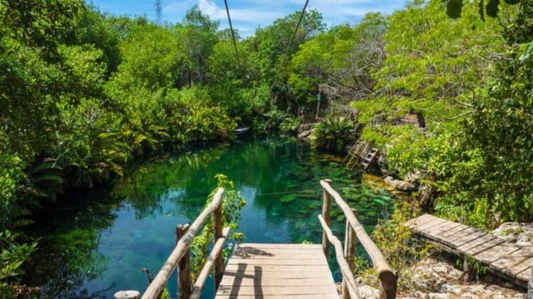 Top cenotes in Tulum you must visit: a complete list and visitor’s guide - Photo 12 Top cenotes in Tulum you must visit: a complete list and visitor’s guide - Photo 12