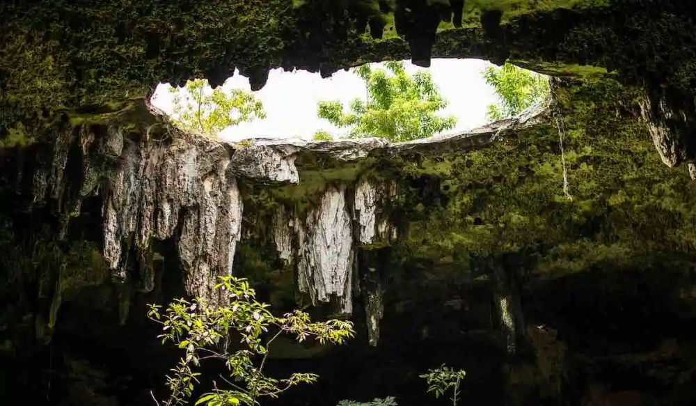 Top cenotes in Tulum you must visit: a complete list and visitor’s guide - Photo 2