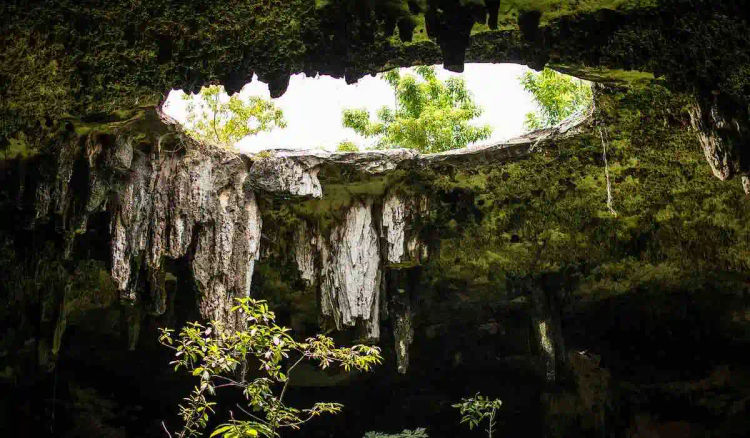 Top cenotes in Tulum you must visit: a complete list and visitor’s guide - Photo 2 Top cenotes in Tulum you must visit: a complete list and visitor’s guide - Photo 2