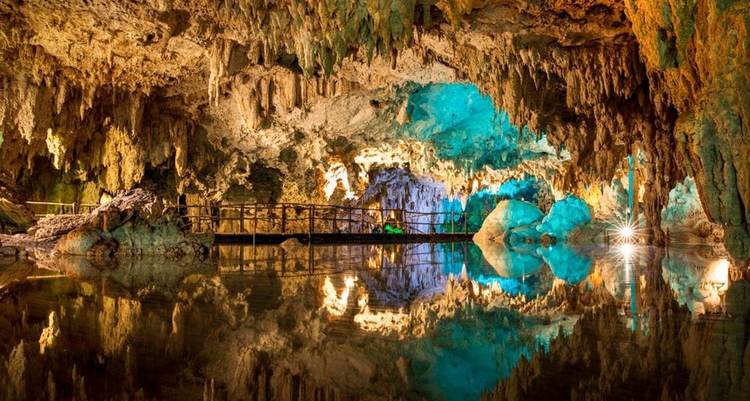 Cenote diving in Tulum uncovers a vast world beneath the jungle floor - Photo 8 Cenote diving in Tulum uncovers a vast world beneath the jungle floor - Photo 8