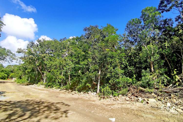 How to Buy Land in Tulum Mexico Safely and Legally - Photo 1 How to Buy Land in Tulum Mexico Safely and Legally - Photo 1