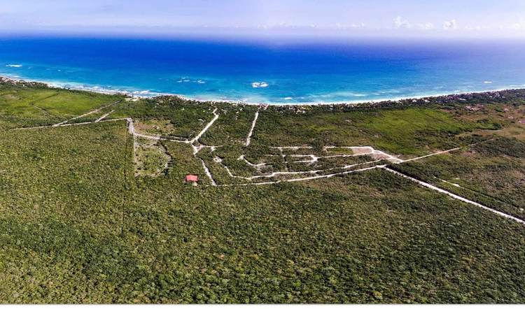 How to Buy Land in Tulum Mexico Safely and Legally - Photo 2 How to Buy Land in Tulum Mexico Safely and Legally - Photo 2