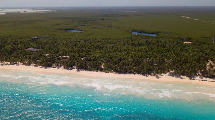 How to Buy Land in Tulum Mexico Safely and Legally - Photo 5 How to Buy Land in Tulum Mexico Safely and Legally - Photo 5