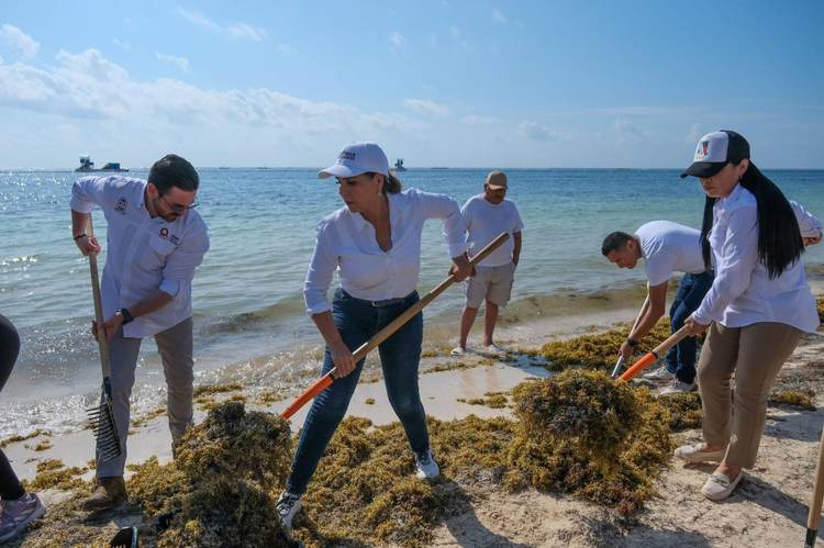 Mexican Caribbean Launches Major Sargassum Cleanup Initiative - Photo 1 Mexican Caribbean Launches Major Sargassum Cleanup Initiative - Photo 1