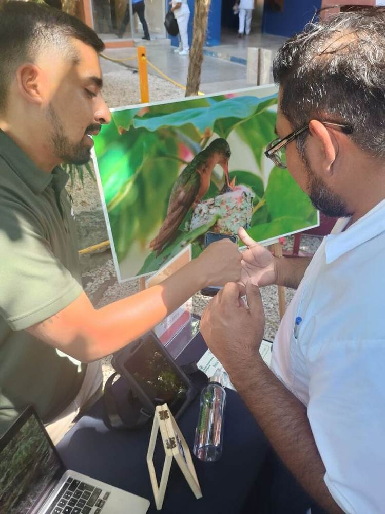 Tulum Shines in Global City Nature Challenge with Over 360 Species Recorded - Photo 1