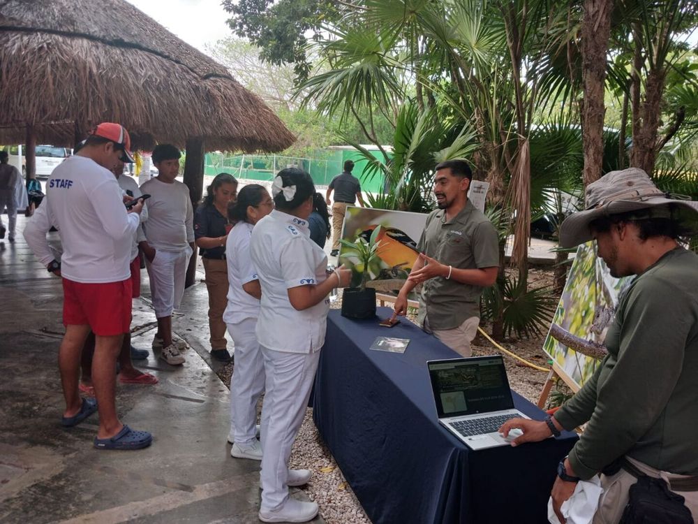 Tulum Shines in Global City Nature Challenge with Over 360 Species Recorded - Photo 2