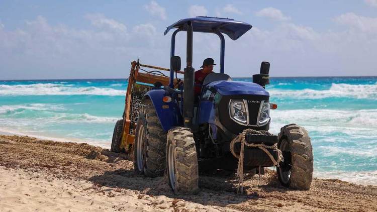 Sargassum in Tulum Is Surging and Locals Are Reaching a Breaking Point - Photo 1 Sargassum in Tulum Is Surging and Locals Are Reaching a Breaking Point - Photo 1