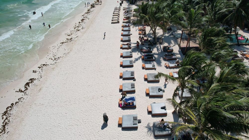 Tulum’s Perfect Storm, How Greed and Nature Are Driving Tourists Away - Photo 5