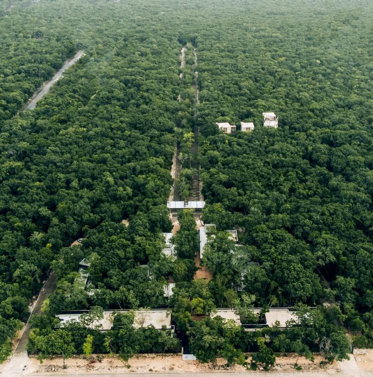 Bosque Tulum Invites You to Live Where Peace, Purpose, and Beauty Align - Photo 1 Bosque Tulum Invites You to Live Where Peace, Purpose, and Beauty Align - Photo 1