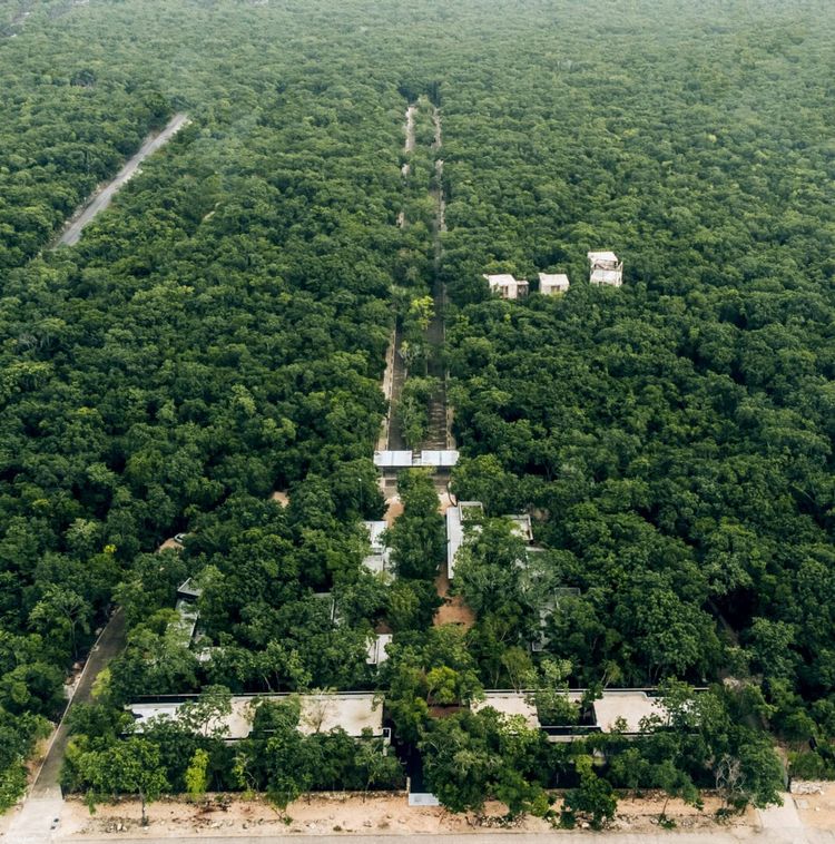 Bosque Tulum Invites You to Live Where Peace, Purpose, and Beauty Align - Photo 1 Bosque Tulum Invites You to Live Where Peace, Purpose, and Beauty Align - Photo 1