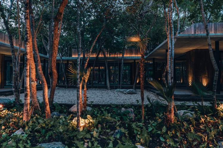 Bosque Tulum Invites You to Live Where Peace, Purpose, and Beauty Align - Photo 6 Bosque Tulum Invites You to Live Where Peace, Purpose, and Beauty Align - Photo 6