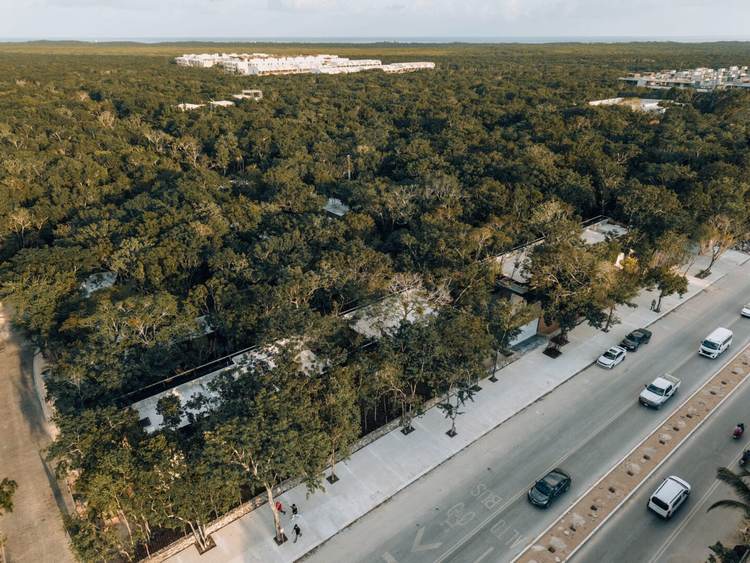 Bosque Tulum Invites You to Live Where Peace, Purpose, and Beauty Align - Photo 9 Bosque Tulum Invites You to Live Where Peace, Purpose, and Beauty Align - Photo 9