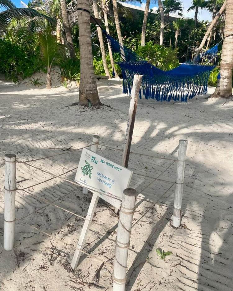 Lula Beach Club in Tulum blends food, fun, and healing - Photo 12