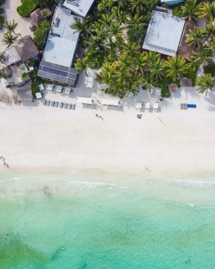 Lula Beach Club in Tulum blends food, fun, and healing - Photo 14