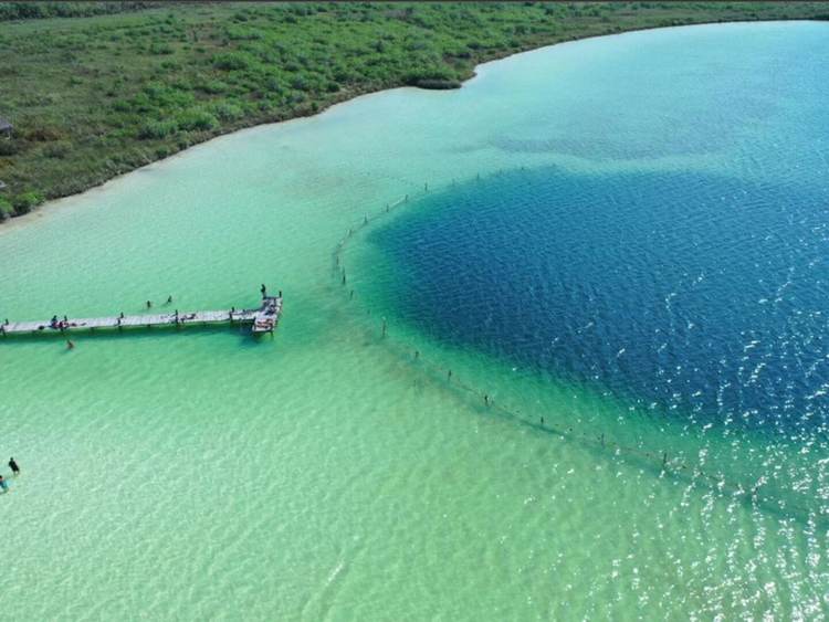 Where to swim in Tulum during sargassum season: lagoons, cenotes, and more - Photo 7 Where to swim in Tulum during sargassum season: lagoons, cenotes, and more - Photo 7