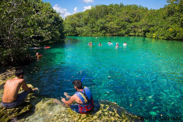 Where to swim in Tulum during sargassum season: lagoons, cenotes, and more - Photo 8