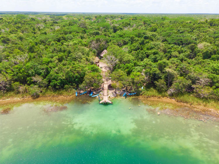 Where to swim in Tulum during sargassum season: lagoons, cenotes, and more - Photo 11 Where to swim in Tulum during sargassum season: lagoons, cenotes, and more - Photo 11