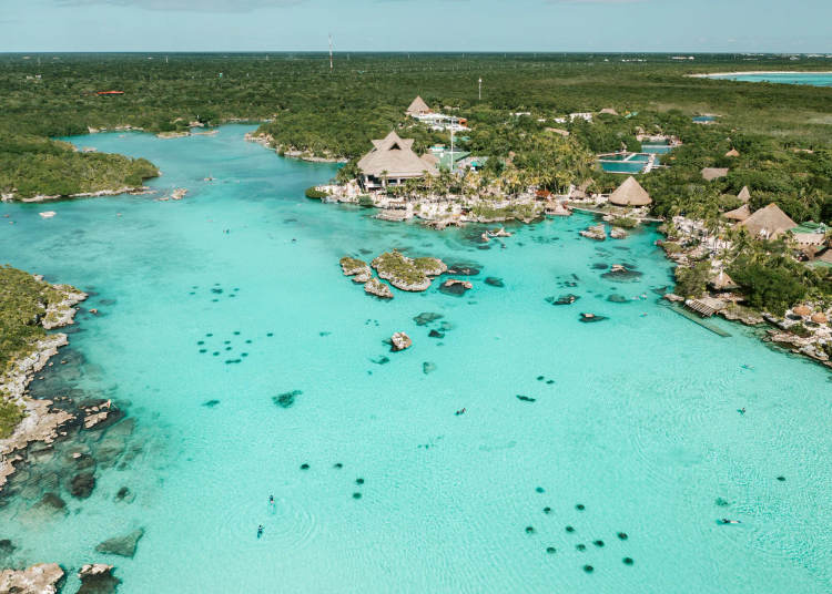 Where to swim in Tulum during sargassum season: lagoons, cenotes, and more - Photo 12 Where to swim in Tulum during sargassum season: lagoons, cenotes, and more - Photo 12