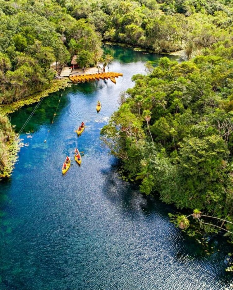 Where to swim in Tulum during sargassum season: lagoons, cenotes, and more - Photo 15