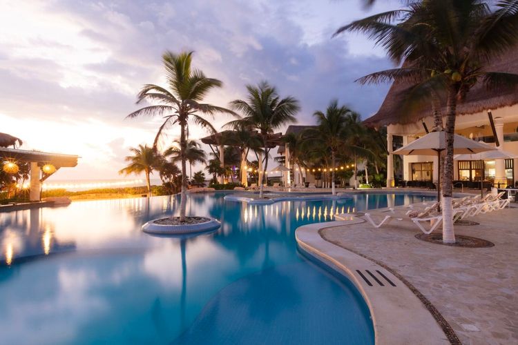 Where to swim in Tulum during sargassum season: lagoons, cenotes, and more - Photo 23