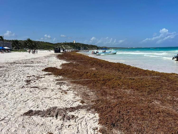 Public or privilege? The hidden war over beach access in Tulum - Photo 5 Public or privilege? The hidden war over beach access in Tulum - Photo 5