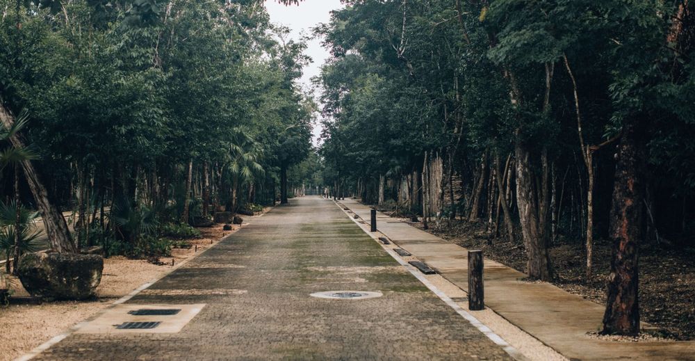 Bosque Tulum Invites You to Live Where Peace, Purpose, and Beauty Align - Photo 2