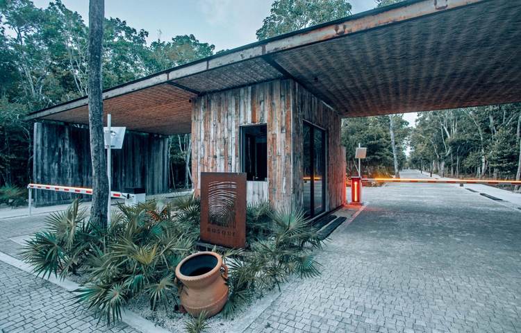 Bosque Tulum Invites You to Live Where Peace, Purpose, and Beauty Align - Photo 3 Bosque Tulum Invites You to Live Where Peace, Purpose, and Beauty Align - Photo 3