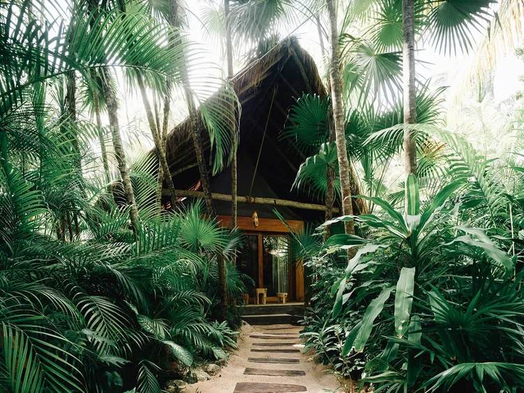 Best Tulum Resorts for Every Budget and Travel Style - Photo 8 Best Tulum Resorts for Every Budget and Travel Style - Photo 8