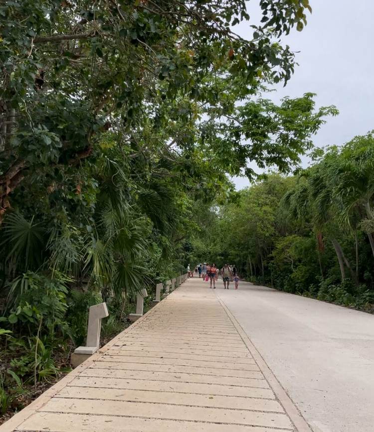 Public Beach Access in Tulum: Your Essential 2025 Guide - Photo 2 Public Beach Access in Tulum: Your Essential 2025 Guide - Photo 2