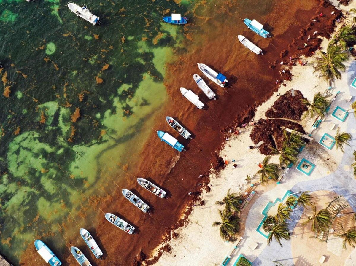 Hotels Push Back Against Sargassum Crisis Hotels Push Back Against Sargassum Crisis