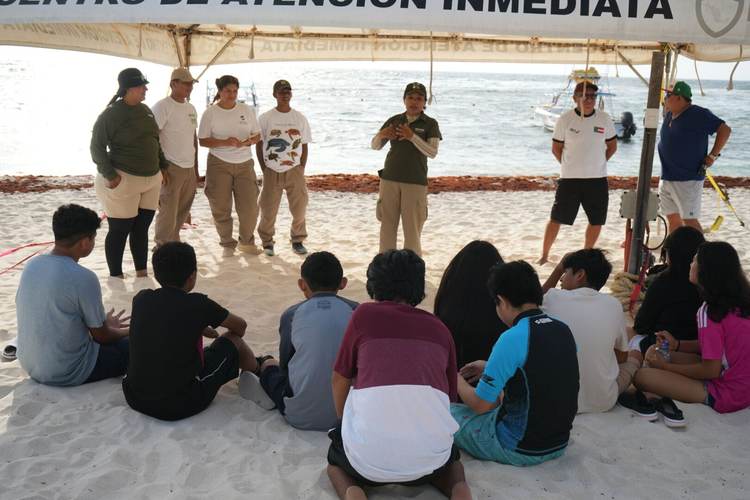 Celebrate World Sea Turtle Day with Community Conservation in Akumal - Photo 3 Celebrate World Sea Turtle Day with Community Conservation in Akumal - Photo 3