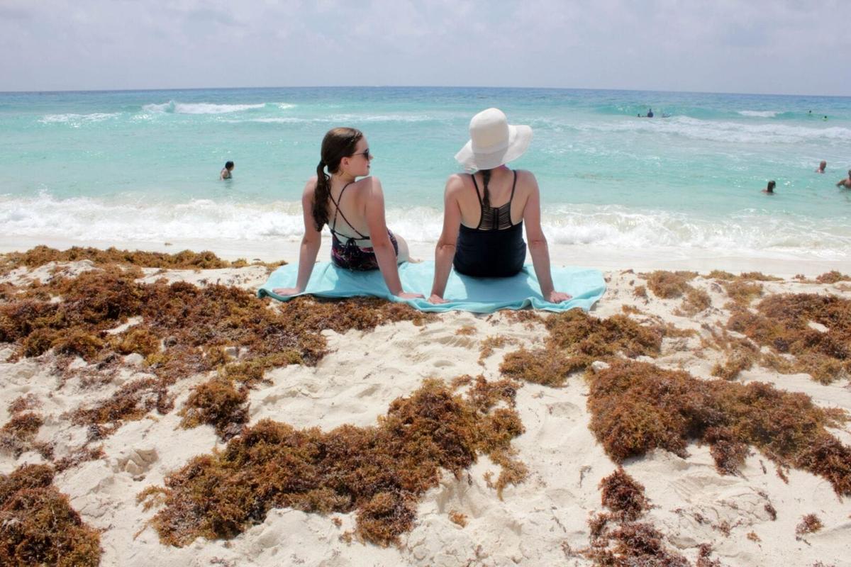 Why Sargassum in Cancun 2025 is worse than ever before Why Sargassum in Cancun 2025 is worse than ever before