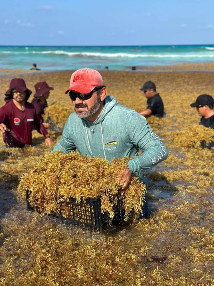 Why Sargassum in Cancun 2025 is worse than ever before - Photo 9